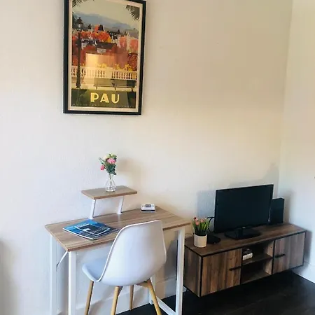 L'etoile Paloise -terrasse &wifi &parking &piscine